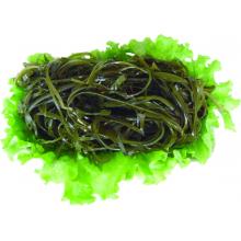海带丝 500g/斤