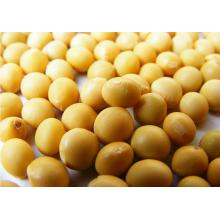 干黄豆500g/斤