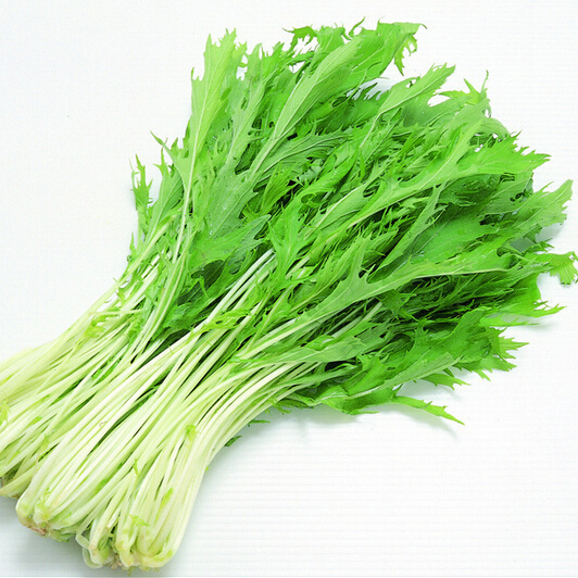 茼蒿 (500克)/斤