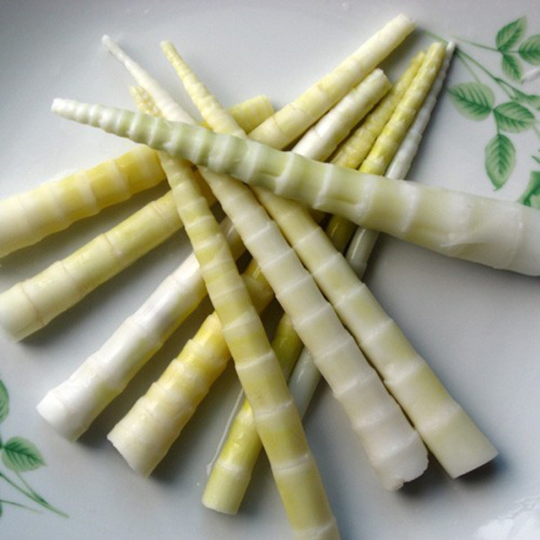 鲜小竹笋 500g/斤