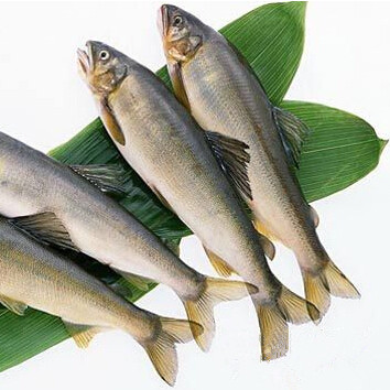 白鲢鱼 500g/斤