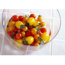 圣女果 500g/斤