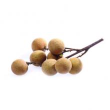 桂圆、龙眼 500g/斤