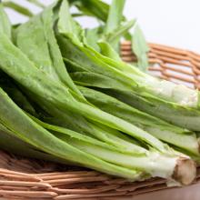 油麦菜 500g/斤