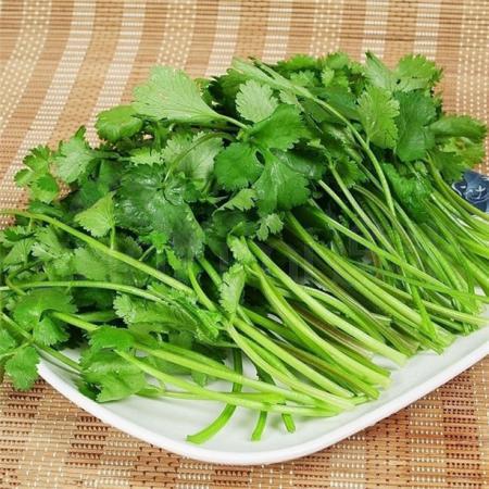香菜 50g/两
