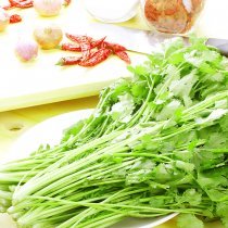香菜 50g/两