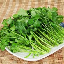 香菜 50g/两