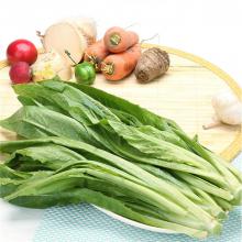 油麦菜 500g/斤