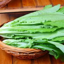 油麦菜 500g/斤
