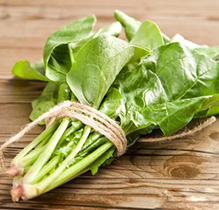 菠菜 500g/斤