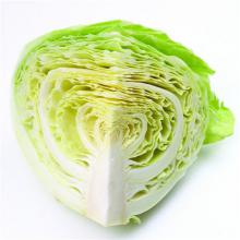 莲花白