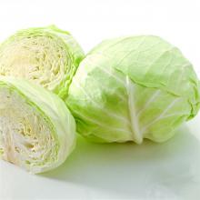 莲花白