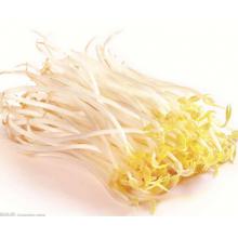 黄豆芽