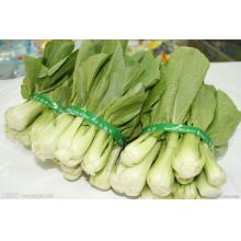 上海青 耙耙菜
