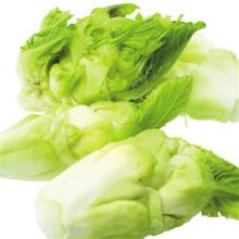 儿菜